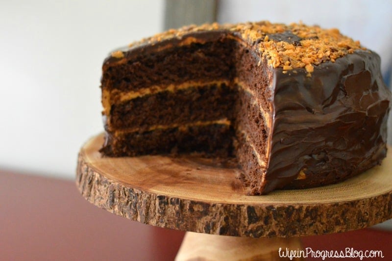 A side view of a chocolate cake, resting on a wooden cake stand
